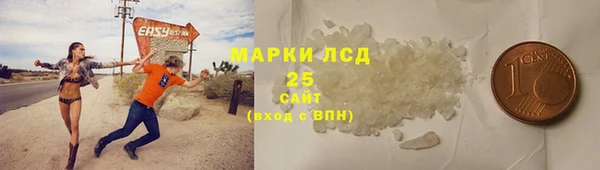 ПСИЛОЦИБИНОВЫЕ ГРИБЫ Гусиноозёрск