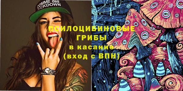 ПСИЛОЦИБИНОВЫЕ ГРИБЫ Гусиноозёрск