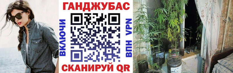 Шишки марихуана ГИДРОПОН  Купить где  Пушкино 